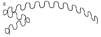 Zigzag Yay
